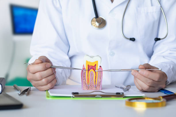 Best Pediatric Emergency Dentist in Mirrormont, WA